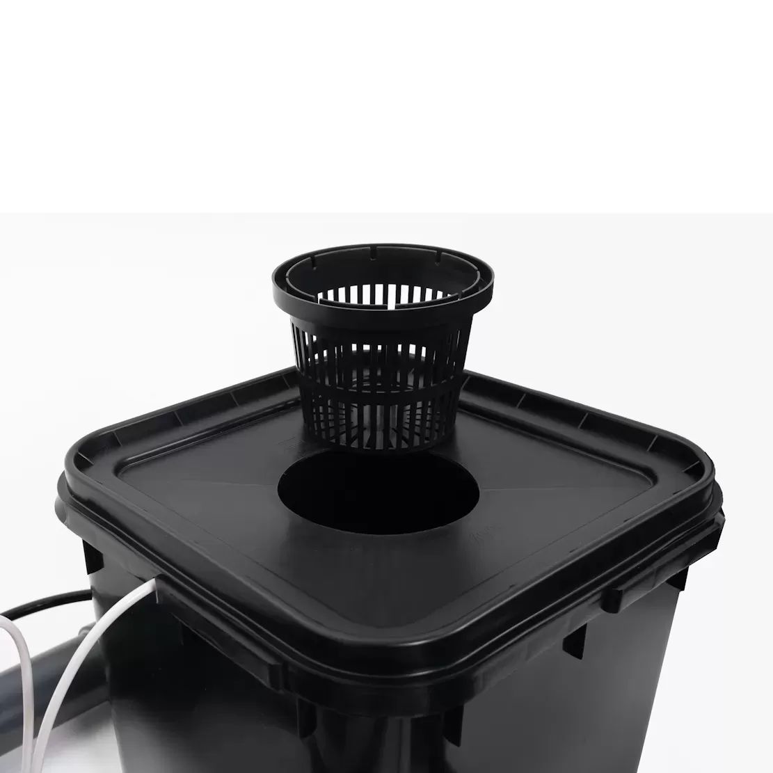 Гидропоника — простой способ выращивания растений 